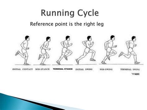 Ppt The Anatomy Of Running Mechanics Powerpoint Presentation Free