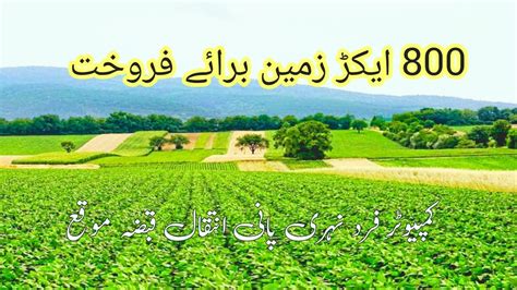 798 Acer Agriculture Land For Sale In Punjab Pakistan Zameen For Sale