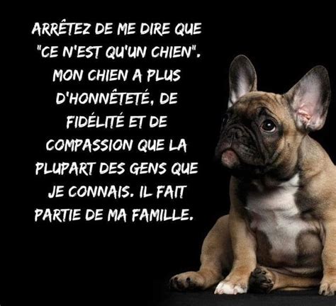 Pingl Par Grec Patricia Sur Tessa Citation Chien Alimentation