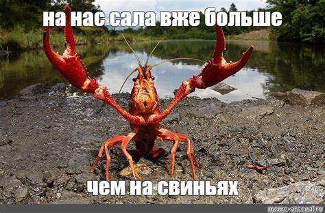 Мем: "на нас сала вже больше чем на свиньях" - Все шаблоны - Meme ...