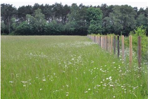 Fahrradtour Zu Den Naturschutzgebieten In Niehorst Dorf Und