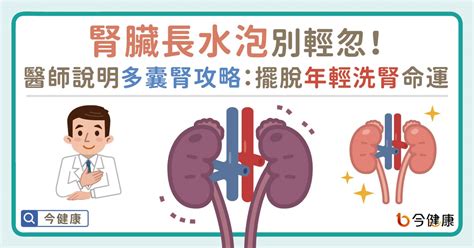 腎臟長水泡別輕忽！醫師專業說明多囊腎攻略：擺脫年輕洗腎命運 健康 Nownews今日新聞