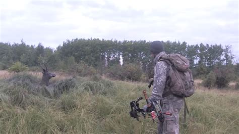 Hunters Rescue Bull Elk From Certain Death