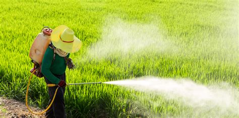 Pesticidas Consumidos A Trav S Del Agua Mudanzas Barcelona