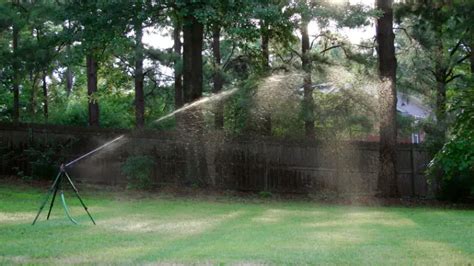 5 Easy Alternatives to Underground Sprinkler Systems – Home Awakening