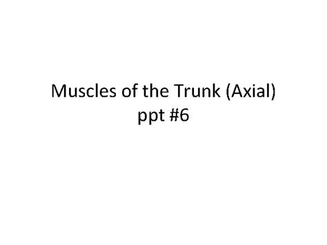 Muscles Of The Trunk Axial Ppt 6 Muscles