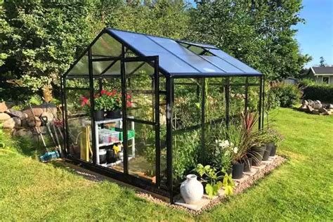 Can You Use A Gazebo As A Greenhouse? (Easy Guide)