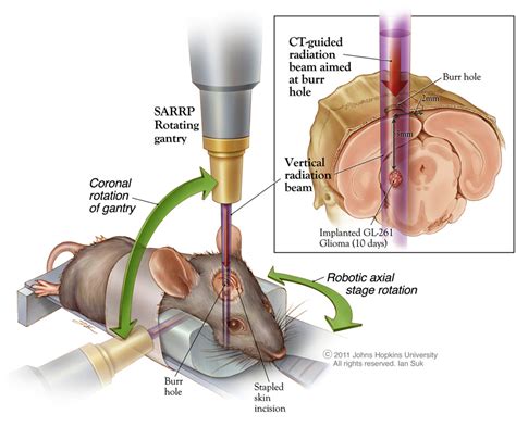 Cervical Lymph Node Group Semantic Scholar