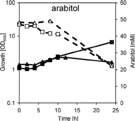 Growth And Substrate Consumption Of The C Glutamicum Rbtt Squares