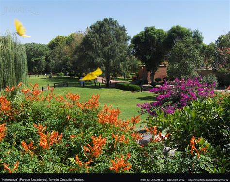 Naturaleza Parque Fundadores Torre N Coahuila M Xico A Photo