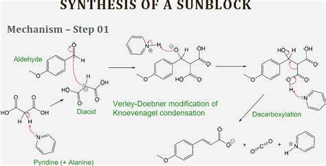 Solved Please Answer The Following About Sunblock Synthesis Chegg