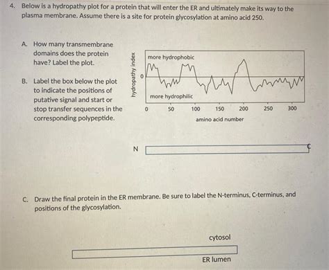 Solved Below Is A Hydropathy Plot For A Protein That Will Chegg