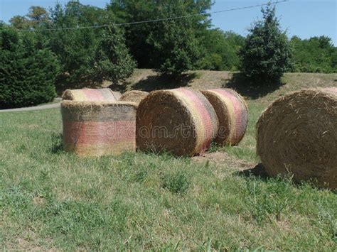 Round Bales Of Hay On The Grass Stock Photo Image Of Manual Light