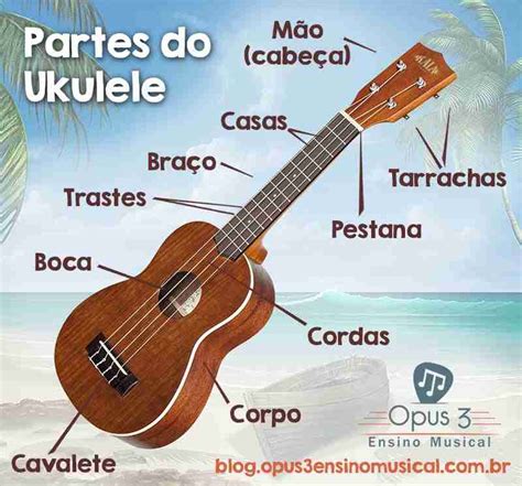 Partes Do Ukulele Conhe A Melhor O Seu Amado Instrumento Opus