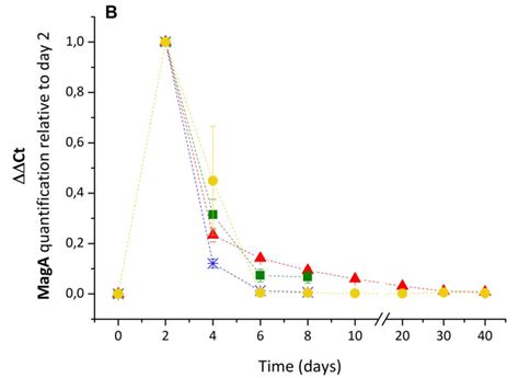 Rt Qpcr Relative Quantification Of Dtomato A And Maga B