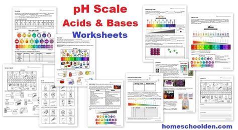 Getting To Know The PH Scale Worksheets Library