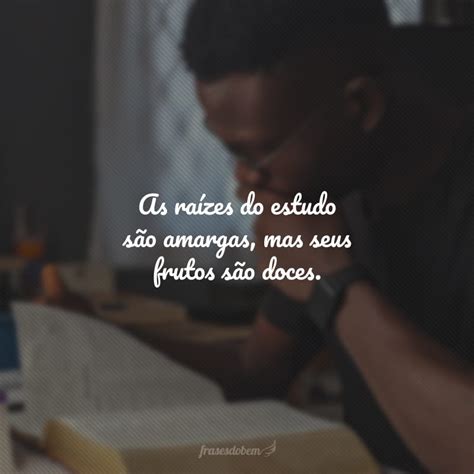 Frases De Motiva O Para Estudar Que Te Far O Alcan Ar Metas