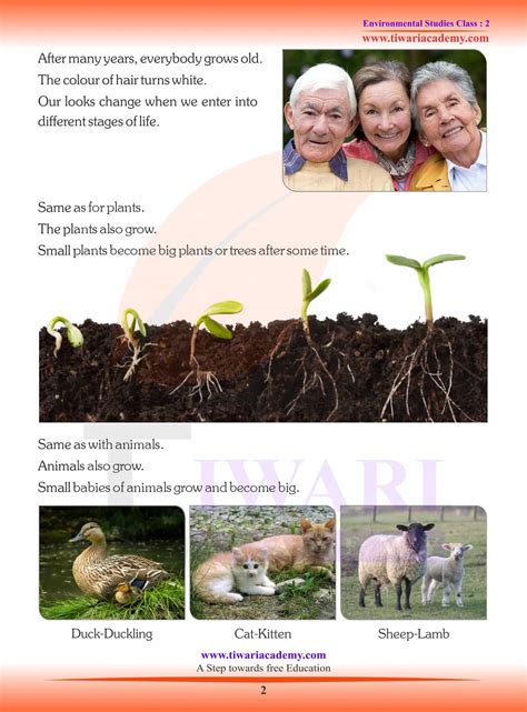 Ncert Solutions For Class 2 Evs Chapter 1 Growing Up
