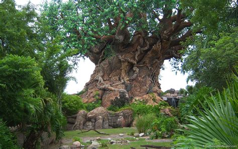 Disney Animal Kingdom Wallpaper Wallpapersafari
