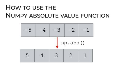 Numpy Absolute Value Explained Sharp Sight