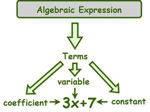 Algebraic Expressions - Definition, Types, Simplification, Examples