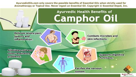 Uses of Camphor oil | Essential Oil