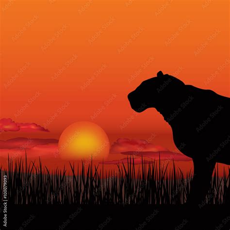 African Landscape Sunset With Animals