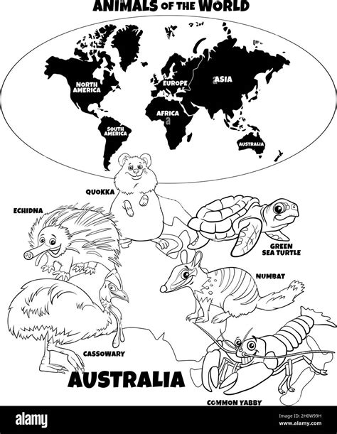 Illustrazione Di Cartoni Animati Didattici In Bianco E Nero Di Specie