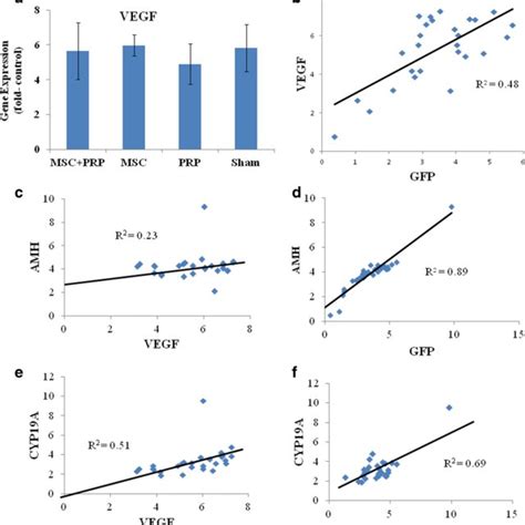 The Effect Of Vegf Expression In The Regeneration Of The Download