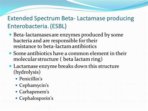 Esbl antibiotic coverage