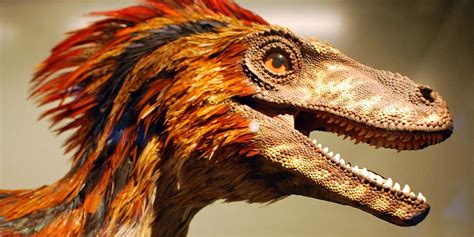 Deinonychus Terrible Claw