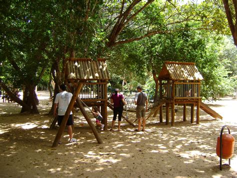 Hist Ria E Diversidade Cultural Parque Das Dunas Natal Rn