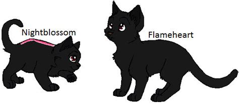 Nightblossom And Flameheart By Zeberaoz On Deviantart