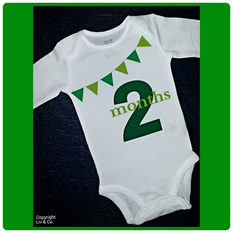 2 Month Old Milestone Outfit - Baby Clothes