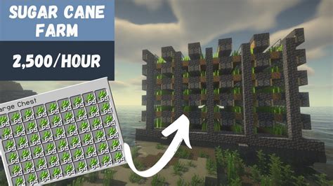 I Built Huge Sugar Cane Farm In Minecraft Youtube