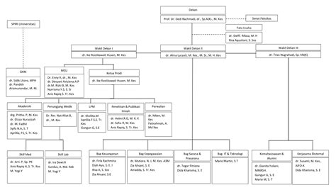 Struktur Organisasi Fakultas Kedokteran Riset