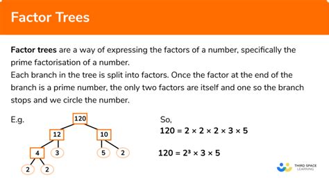 draw prime factor trees hudson dentry
