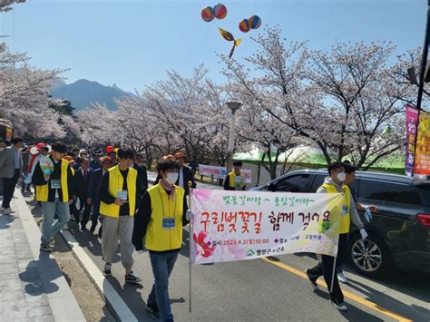 영암군 왕인문화축제 성공기원 구림벚꽃길 걷기행사 성료 연합뉴스