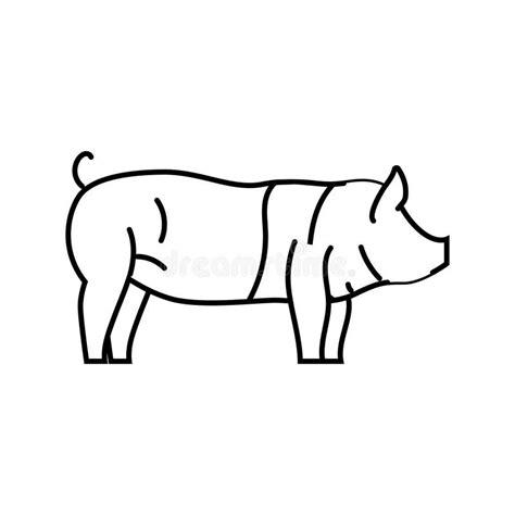 Hampshire Pig Breed Line Icon Vector Illustration Stock Illustration