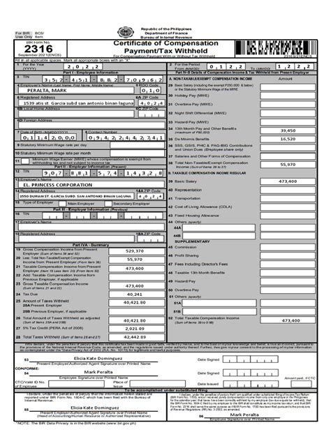 Form Bir 2316 Pdf