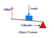 CSEP CPT Exam Flashcards Quizlet