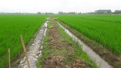 Pembangunan Jalan Usaha Tani DESA KLAMPOK