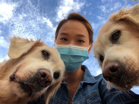 【愛心狗主】愛犬年邁腿部漸失知覺 李旻芳堅持每天散步：希望延緩退化