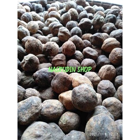 Jual Kemiri Kg Buah Biji Kemiri Utuh Dengan Batok Benih Kemiri