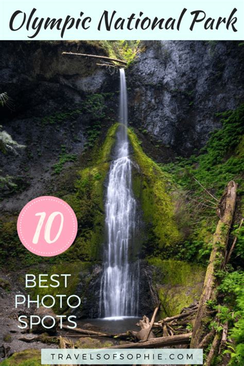 Ultimate Olympic National Park Photography Guide We Dream Of