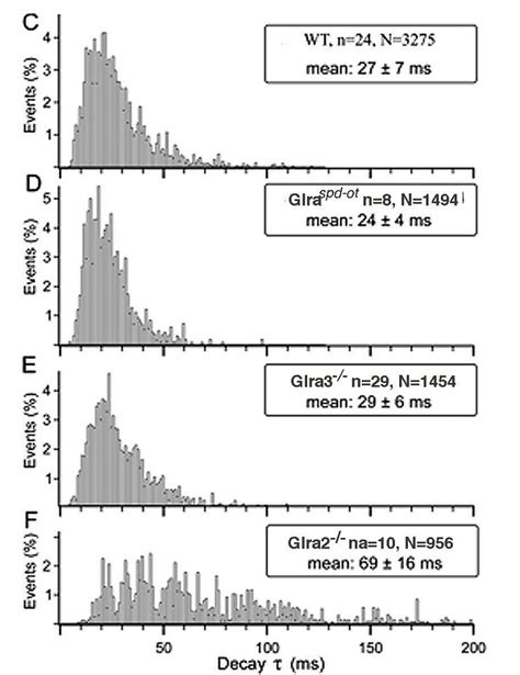 Glycine Receptor Diversity in the Mammalian Retina by Silke Haverkamp – Webvision