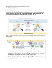 BIO 2051 Exam 2 Ch 27 Adaptive Immunity Study Guide VERY VERY LAST Docx