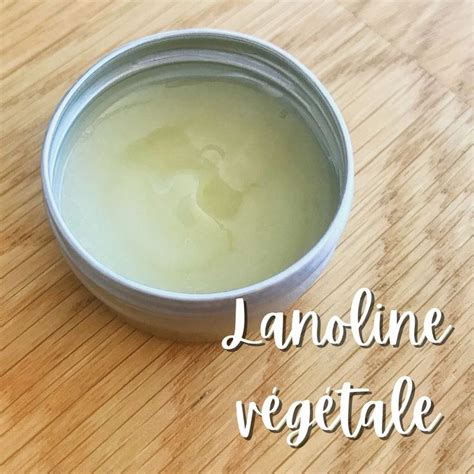 Recette Du Baume Anti Moustique Soins Naturels Vegetal Baume