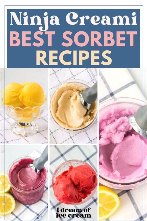 Best Ninja Creami Sorbet Recipes You Need To Try I Dream Of Ice Cream