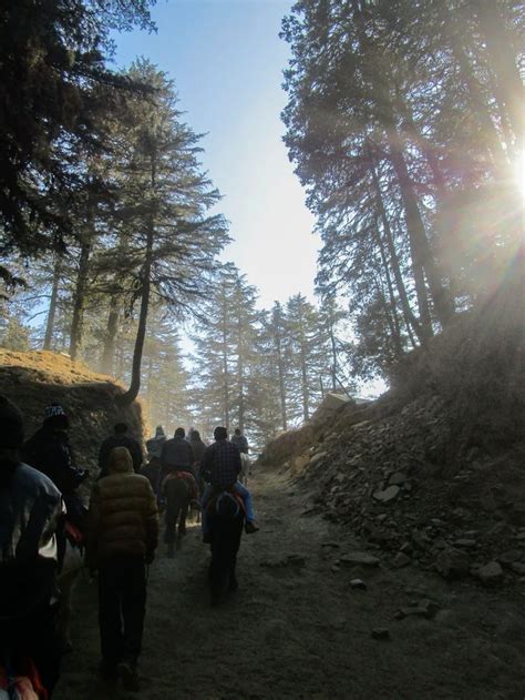 #kufri #shimla #photography in 2024 | Shimla, Photography